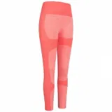 3x JELEX Angelina Damen Fitness Leggings (2 Farben, Gr.  M bis XL) für 14,93 € inkl. Versand