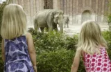 Zoo Leipzig 🐘🐒 Gratis Eintritt für Kinder bis 16 Jahren zum Nikolaus