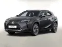Lexus UX 300e (Elektro, 204 PS, EZ 06/25 10 km, grau, automatisch) für 33.988,00 € (statt 60.720 €)