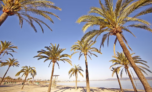 Spätsommer Mallorca/El Arenal ☀️8 Tage mit 3* MLL Caribbean Bay mit All Inclusive, Flug ab 339€