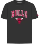 New Era Team Logo Chicago Bulls Herren T-Shirt (Gr. S bis 4XL) ab 16,32 € inkl. Versand