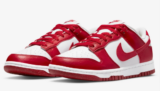 Nike Dunk Low Next Nature DN1431-101 Gr. 35,5-50 für 83,99 € inkl. Versand (statt 103,90 €)