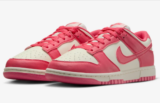 Nike Dunk Low Next Nature DD1873-600 Gr. 35,5-44,5 für 71,99 € inkl. Versand (statt 94,99 €)