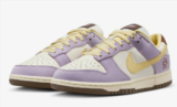 Nike Dunk Low Premium FB7910-500 für 58,49 € inkl. Versand (statt 94,94 €)