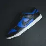 Nike Dunk Low Retro Herren Sneaker HF5441-401 (Gr. 39 bis 48,5) für 66,53 € inkl. Versand