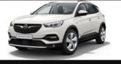 OPEL Grandland X Hybrid mit 300 PS ab 119,00 € netto / Monat + 995 € einmalig  – 0,26 LF (Gewerbeleasing)