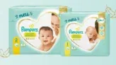 Pampers Premium Protection gratis testen – dank Cashabck (nur bei dm)