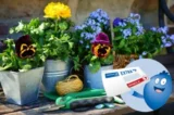Payback Punkte sammeln beim Kauf von Blumen & Pflanzen