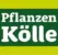 Pflanzen Kölle