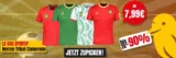 Picksport Kamerun Trikot SuperSale ab 7,99 € zzgl. 4,99 € Versand + 5,5 % Newsletter-Rabatt