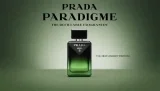 Gratis Prada-Parfum sichern: 20.000 Duftproben werden verschenkt