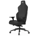 RECARO Gaming-Stuhl/Bürostuhl Rae Essential (4D-Armlehne, Synchronmechanik, Lordosenstütze)