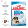 2x15kg ROYAL CANIN GIANT Starter für tragende Hündin und Welpen sehr großer Rassen für 55,74 € inkl. Versand (statt 125,60 €)