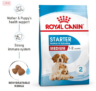 ROYAL CANIN MEDIUM Starter für tragende Hündinnen und Welpen mittelgroßer Rassen 15 kg für 29,37 € inkl. Versand (statt 69,15 €)