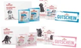 Royal Canin: kostenlose Willkommens-Boxen für Kätzchen und Welpen