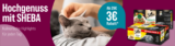ZooRoyal: 3 € Rabatt auf Sheba Katzenfutter (29 € MBW)