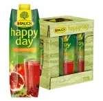 Rauch Happy Day Granatapfel, 6er Pack (6 x 1 l)