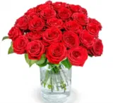 20 Red Naomi Premium Rosen mit XXL Blütenkopf ab 25,48 € inkl. Versand 🌹