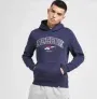 Reebok Albany Overhead Herren Hoodie für 23,99€ inkl. Versand (statt 30€)