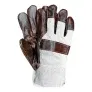Fehler? Reis RLO Schutzhandschuhe Beige-Dunkel (11 Größe 6 Stück) für 2,63 € inkl. Prime-Versand (statt 21,00 €)