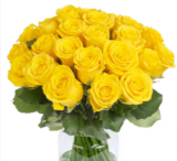 50 Gelbe Rosen