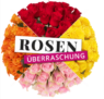 Blume Ideal: Rosenüberraschung mit 50 Rosen für 35,48 € inkl. Versand 🌹