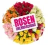 50 Rosen in Überraschungsfarben (bis 40-50 cm Länge) für 26,98 € inkl. Versand 🌹