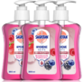 Sagrotan Handseife 🍓 Brombeere und Waldfrüchte – 3 x 250 ml Seifenspender ab 5,21 € inkl. Prime-Versand (statt 8,37 €)