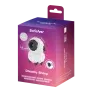 EisDE: Satisfyer Dreamy Sheep & 6 Gratisartikel für 0,00 € (MBW 29,95 €)