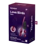 Eis DE: Satisfyer Love Birds Vary Beckenbodentrainer & 6 Gratisartikel für 0,00 € (MBW 29,95 €)