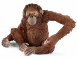 Schleich 14775 Wild Life – Orang-Utan Weibchen Figur – für 4€ [Prime] statt 9,84€