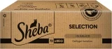 Sheba Katzennassfutter Selection in Sauce 72 Portionsbeutel (72x85g)