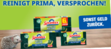 Spontex Topfreiniger Cashback-Aktion (GzG)