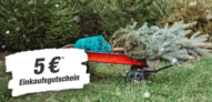 Toom 🎄5,00 €-Gutschein für die Tannenbaum-Spitze des bei Toom gekauften Tannenbaums