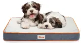Toozey Hundebett Hundekissen für Große/Mittelgroße/Kleine Hunde ab 14,99 € inkl. Prime-Versand (statt 39,99 €)