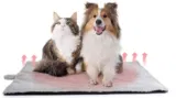 Toozey Selbstheizende Decke für Katzen & Hunde ab 11,49 € inkl. Prime-Versand (statt 22,99 €)