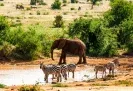 17 Tage Kenia – Safari 🌍🐘🌴Kenia-Rundreise mit 4* Lodge, Vollpension, Flug, Safaris, Badeaufenthalt & Transfers nur 1799€