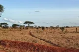 Traumreise Nach Kenia: 15 Nächte Inkl. Safari & Strandurlaub Ab 3.998 € Für 2 Personen 🌴🐘🌊