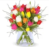 Tulpenstrauß Modern Love mit 12 bunte Tulpen, 3 Pistacia & 3 Heidelbeeren für 28,98 € inkl. Versand (statt 35,98 €)🌷