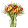 Tulpenstrauß Modern Love ab 25,49 € inkl. Versand