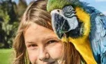 Tagesticket für 1 Person für den Weltvogelpark Walsrode für 17,50 € statt 24,00 €