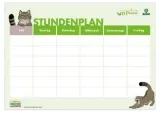 Gratis Wildkatzen-Stundenplan: Mit „Waldermar“ durch den Schulalltag 🐾