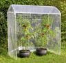 Windhager Alustar Tomatengewächshaus für 49,98 € inkl. Versand (statt 84,99 €)