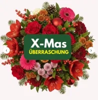 BlumeIdeal: X-Mas Überraschung ab 23,69 € inkl. Versand