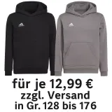 adidas Kids Hoodie ENT22 Hoody Y (2 Farben, Gr. 128 bis 176) für 17,98 € inkl. Versand