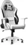 *schnell sein!* AKRacing California Laguna, Gaming-Stuhl für 168,99 € inkl. Versand statt 324,00 €