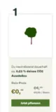 Growmytree: Gratis Baum pflanzen zum Weltumwelttag