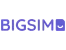Bigsim