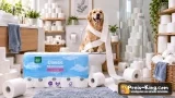 4x by Amazon Classic Toilettenpapier 3-lagig (20×200 Blatt)