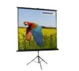 🚨celexon Economy tripod screen – Projektionsbildschirm mit Stativ – 1:1 für 25,16 € inkl. Versand (statt 86,90 €)